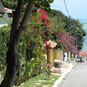 Guest houses in Natal 
